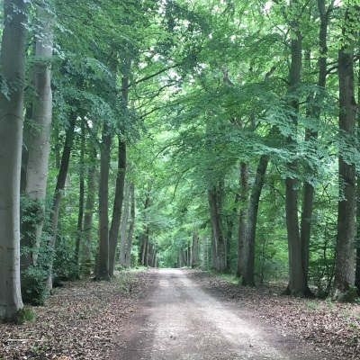 Acquisition d’une nouvelle forêt dans l’Eure