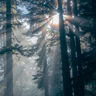 Les forêts Groupama au cœur de l’émission Tambour Battant